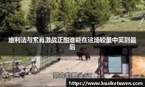 维利法与索肖激战正酣谁能在这场较量中笑到最后